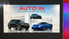 Logo Auto Ingrosso